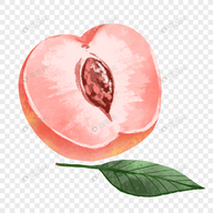 色哟哟APP应用
